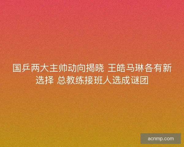 国乒两大主帅动向揭晓 王皓马琳各有新选择 总教练接班人选成谜团